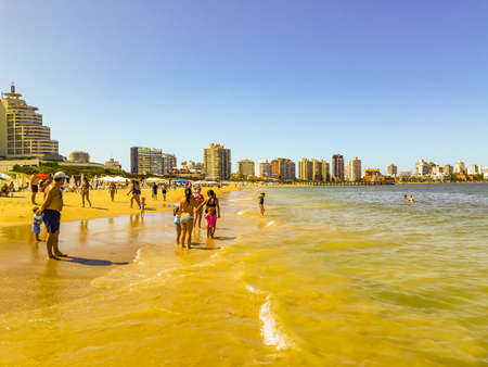 Senior couple watching the sea at mansa beach in punta del este city, Uruguayのeditorial素材