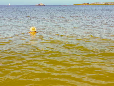Senior couple watching the sea at mansa beach in punta del este city, Uruguayのeditorial素材