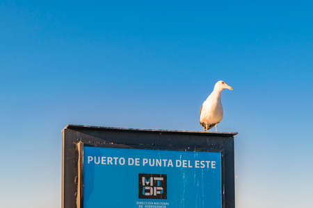 PUNTA DEL ESTE, URUGUAY, FEBRUARY - 2020 - Empty mall cinema entrance, punta del este, uruguayのeditorial素材