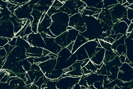 Neon silhouette style leaves motif texture pattern background in dark blue tones