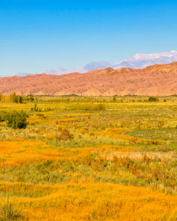 Countryside sunny day landscape scene at san juan province, argentinaの写真素材