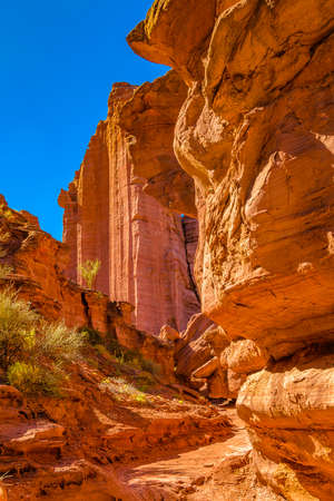 Day landscape scene at talampaya national park, la rioja province, argentina