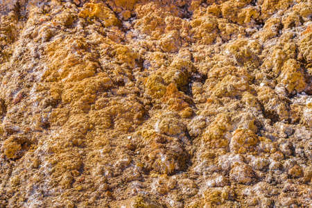 Rocky mountain close up at brava lagoon reserve, la rioja province, argentina
