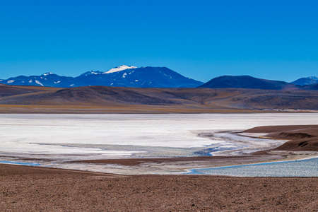 Beautiful puna andean landscape at brava lagoon reserve, la rioja province, argentinaの写真素材