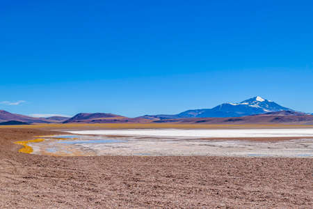 Beautiful puna andean landscape at brava lagoon reserve, la rioja province, argentina
