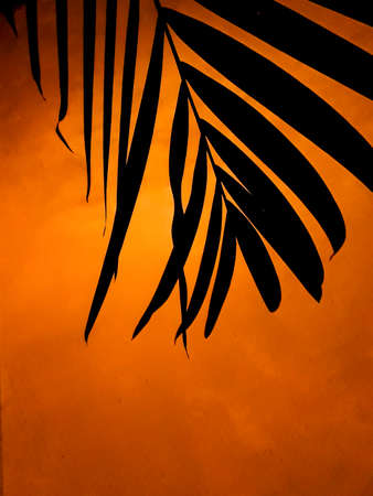 Black and orange colors plants leaves silhouette background