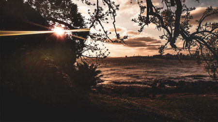 Afternoon landscape scene at waterfront park, montevideo city, uruguayの写真素材