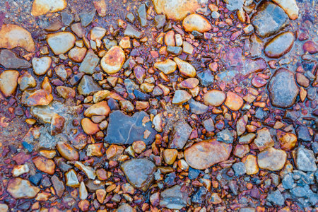 Top view shot wet small stone ground texture background
