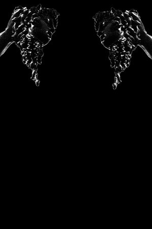 Jellyfish head ornament empty black background templateの写真素材