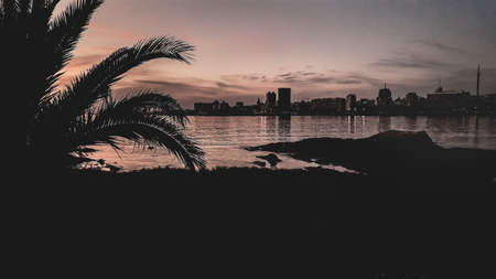 Urban coastal sunset silhouette scene at montevideo city, uruguayの写真素材