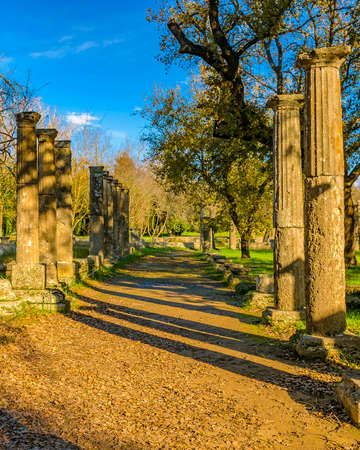 Day scene at ruins of ancient Olympia city, Greeceの写真素材