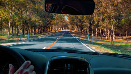 Wooden highway driver point of view, maldonado, uruguay