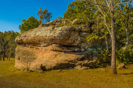 Sunny day landscape view at bartolome hidalgo park, soriano department, uruguayの写真素材