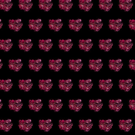 Top view red malvon motif pattern backgroundの写真素材