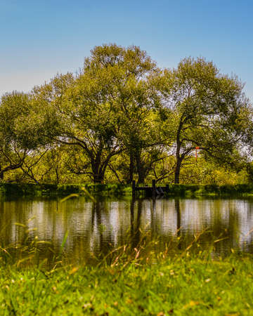 Artificial lake at countryside environment, maldonado, uruguay