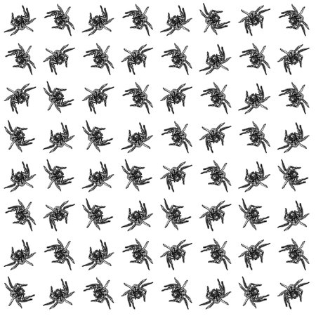 Big spider motif black and white patternの写真素材