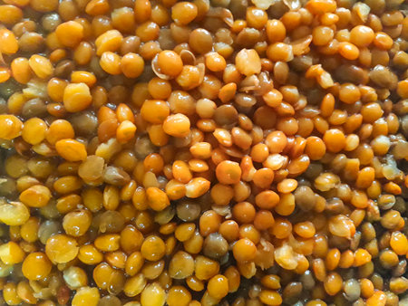 Top view detail shot lenses texture background photoの写真素材