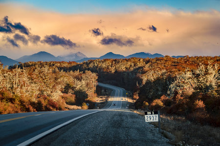 Highway crossing Patagonian forest landscape environment, Tierra del Fuego province, Argentinaの写真素材