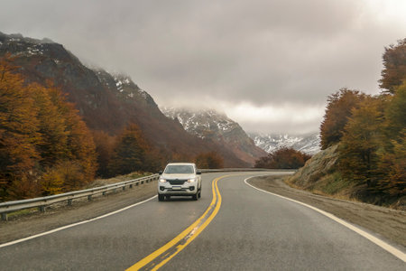 Inside car point of view highway crossing Patagonian forest, Tierra del Fuego province, Argentina