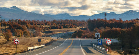Highway crossing Patagonian forest landscape environment, Tierra del Fuego province, Argentinaの写真素材