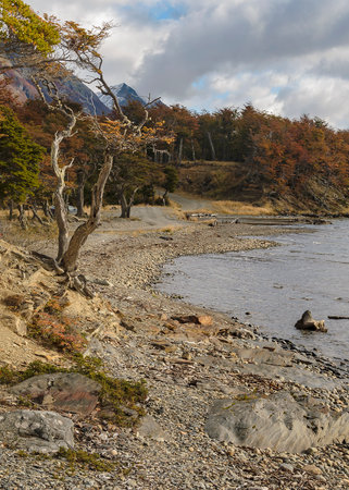 Empty quiet beautiful wild coastal landscape at Torito Bay, Tierra del Fuego province, Argentinaの写真素材