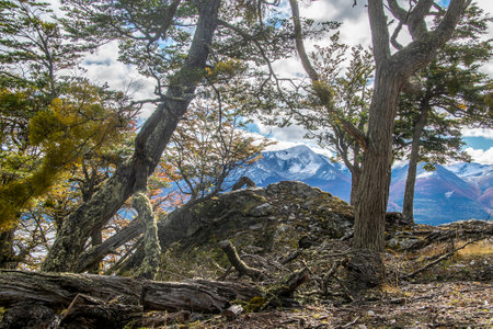 Empty quiet beautiful wild landscape at Torito Bay, Tierra del Fuego province, Argentinaの写真素材