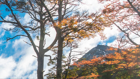 Long distant shot forest landscape, martial glacier, ushuaia, Tierra del Fuego, Argentinaの写真素材