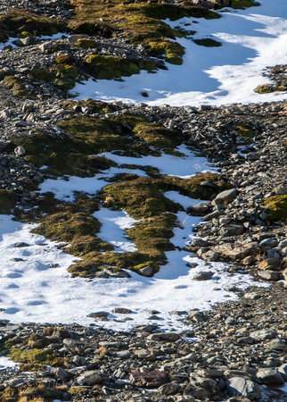 Ground with snow and rocks, martial glacier, ushuaia, Tierra del Fuego, Argentinaの写真素材