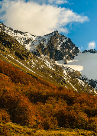 Martial glacier and forest landscape, Ushuaia, Tierra del Fuego, Argentinaの写真素材