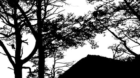 Long distant shot forest landscape, martial glacier, ushuaia, Tierra del Fuego, Argentinaの写真素材