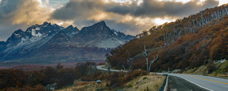 Highway crossing Patagonian forest landscape environment, Tierra del Fuego province, Argentinaの写真素材
