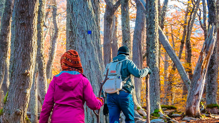 Couple walking at Laguna Esmeralda hiking trail, Tierra del Fuego province, Argentinaの写真素材