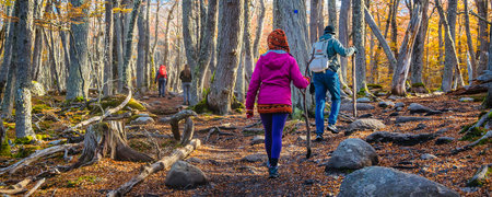 People walking at Laguna Esmeralda hiking trail, Tierra del Fuego province, Argentinaの写真素材