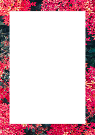 White frame with botanic motif colorful borders layoutの写真素材