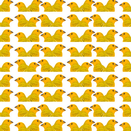 Little bird motif pattern in yellow and white colorの写真素材