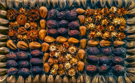 Top close up detail shot seeds and flowers composition texture backgroundの写真素材
