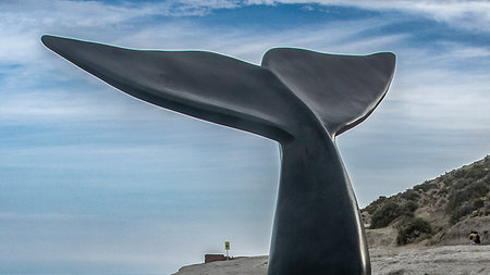 Whale sculpture monument at urban park, puerto piramides beach, biedma department, puerto madryn, chubut province, argentinaの写真素材