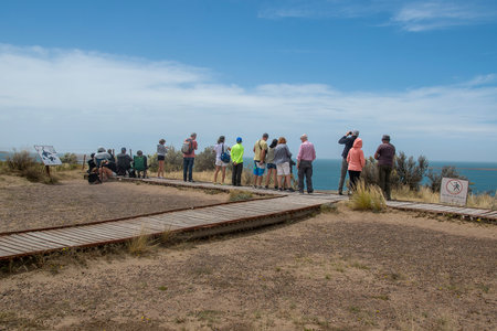 Peninsula Valdes, Argentina; December 29 2022: Group of people at viewpoint watching wildlife marine at peninsula valdes, viedma department, chubut province, argentinaの写真素材