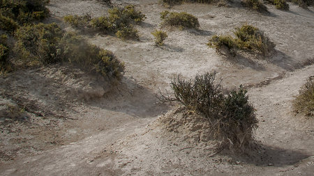 Punta norte beach landscape, peninsula valdes, viedma department, chubut province, argentinaの写真素材