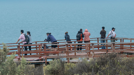 Peninsula Valdes, Argentina; December 29 2022: Group of people at viewpoint watching wildlife marine at peninsula valdes, viedma department, chubut province, argentinaの写真素材