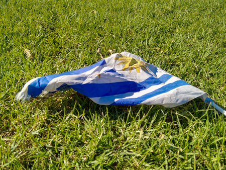 High angle view small uruguay flag lying on grass at parkの写真素材