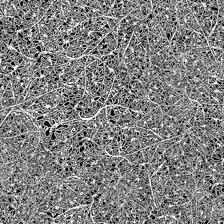 Intricate hand drawn floral illustration random black and white high contrast patternの写真素材