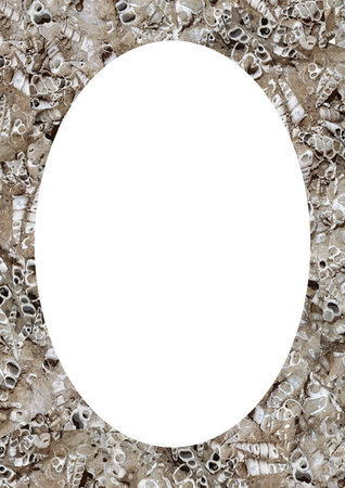 Blank frame with fossilized snails rounded cream and white colors borders motifの写真素材