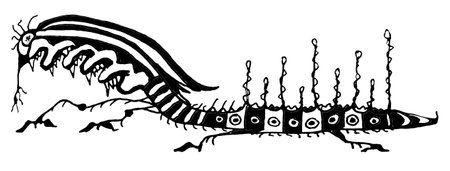 Side view large alien snake black and white fantasy hand drawn illustrationの写真素材