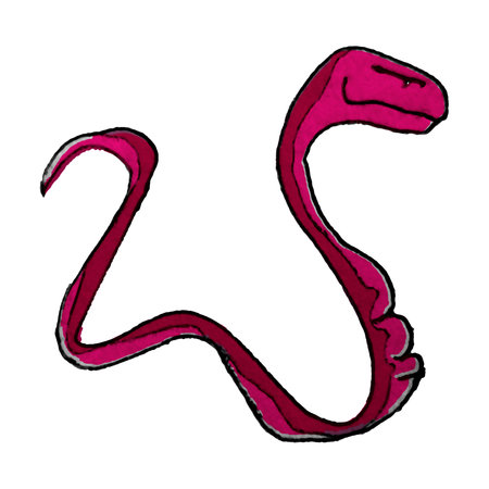 Red snake side view full portrait hand drawn isolated illustrationの写真素材