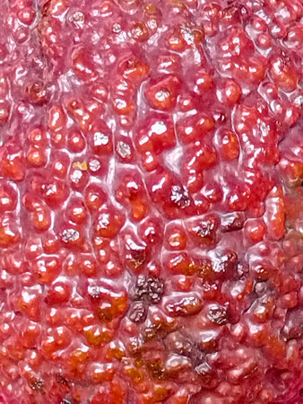 Avocado texture closeup photo in vibrant saturated red mixed colors