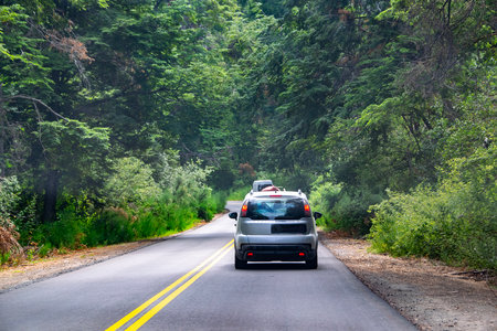 Highway surrounded by forest landscape at los alerces national park, a world heritage site located in chubut province, patagonia, argentinaの写真素材