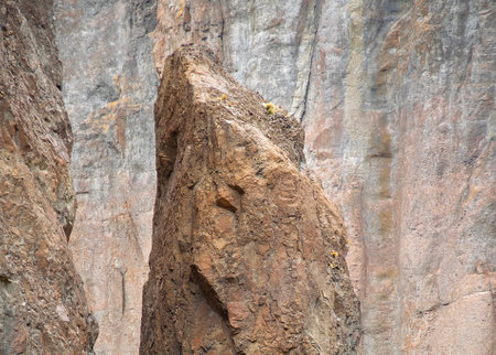 Canyon rocky detail at la buitrera canyon,  a rock formations formed by ancient volcanic activity located in patagonia, chubut province, argentinaの写真素材
