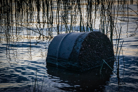 A discarded metal barrel floating in a wetland, surrounded by reeds and rippling water during sunset.の写真素材