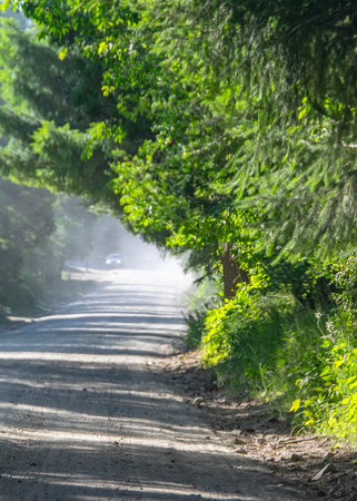Highway surrounded by forest landscape at nahuel huapi national park, rio negro province, patagonia, argentinaの写真素材